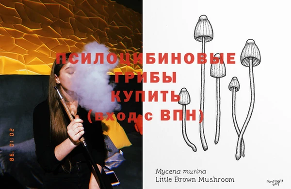 крисы Белая Калитва