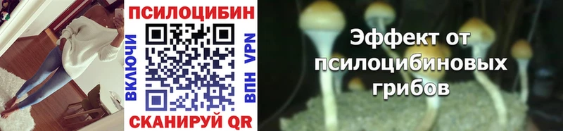 Псилоцибиновые грибы прущие грибы  Салаир 
